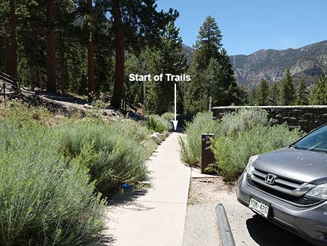 Cathedral Rock Trailhead