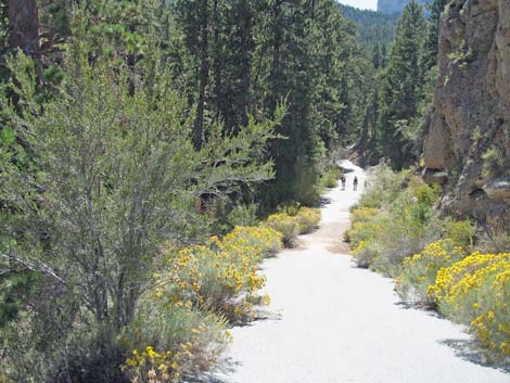 Deer Creek Trailhead