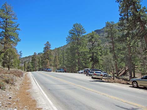 Fletcher Canyon Trailhead