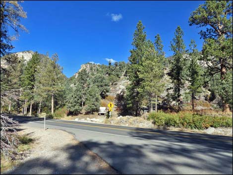 Fletcher Canyon Trailhead