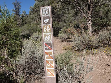 Lovell Canyon Trailhead