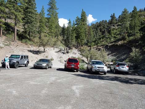 Stanley B Springs Trailhead