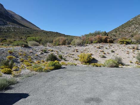 Step Ladder Trailhead