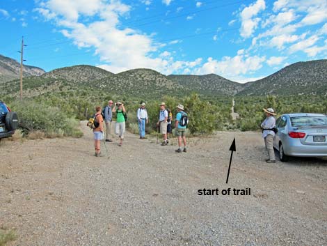 Lower Telephone Canyon Trailhead