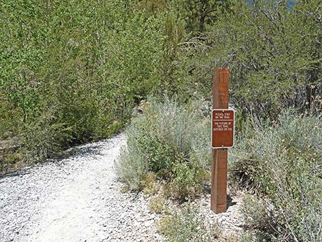 Trail Canyon Trailhead