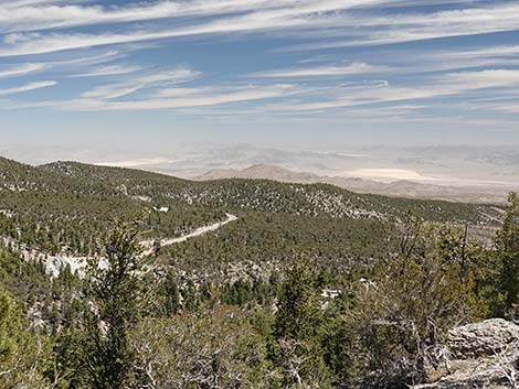 Wildhorse Loop Trail