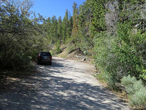 Wildhorse Loop Trail