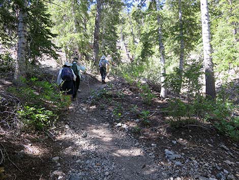 Wildhorse Loop Trail