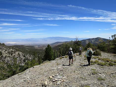 Wildhorse Loop Trail