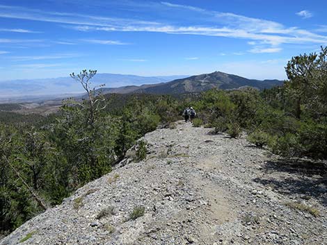 Wildhorse Loop Trail