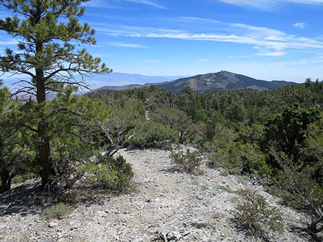 Wildhorse Loop Trail