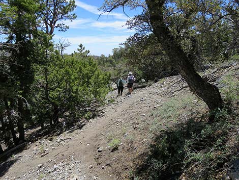 Wildhorse Loop Trail