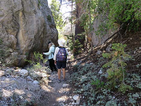 Wildhorse Loop Trail