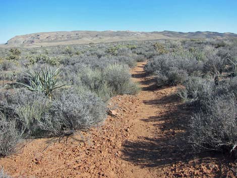 Arnight Trail