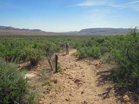 Arnight Trail