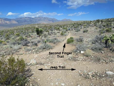 Second Finger Trail