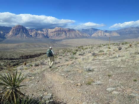 Second Finger Trail