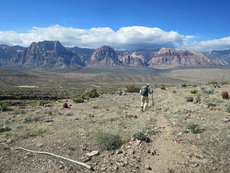 Second Finger Trail