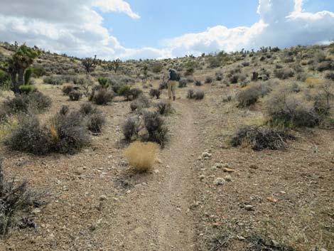 Second Finger Trail