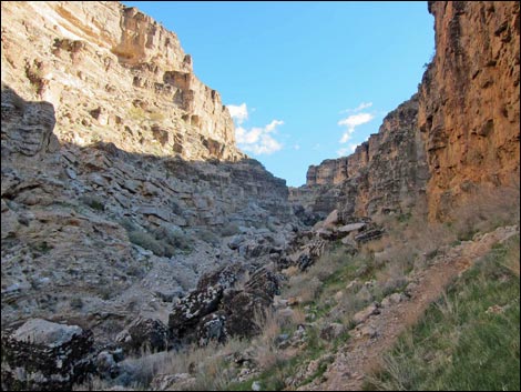 Desert Cave