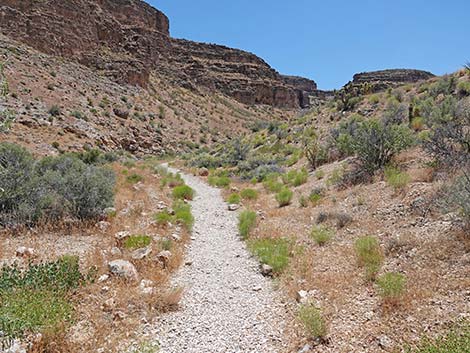 Fossil Canyon