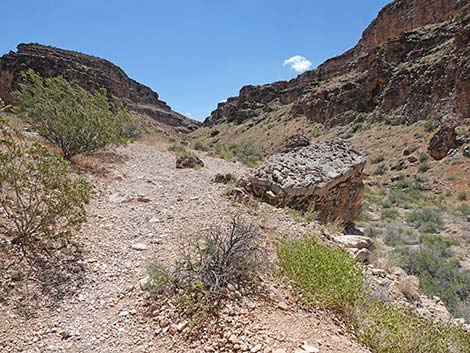 Fossil Canyon