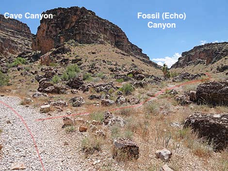 Fossil Canyon Loop