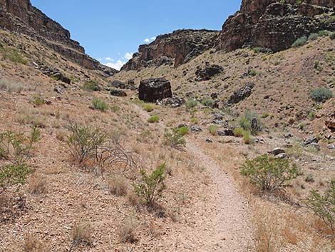 Fossil Canyon