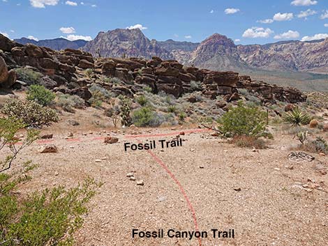 Fossil Canyon Loop