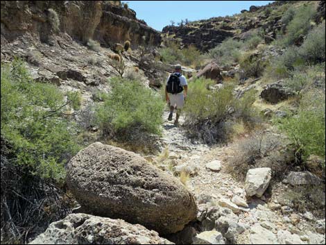 Fossil Canyon