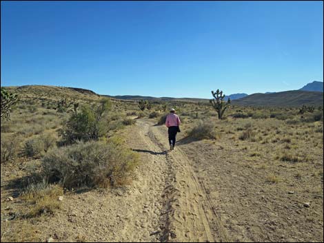 Fossil Trail