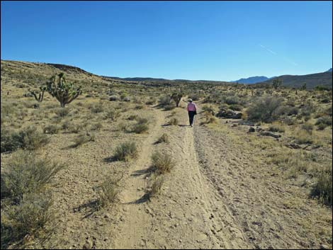 Fossil Trail