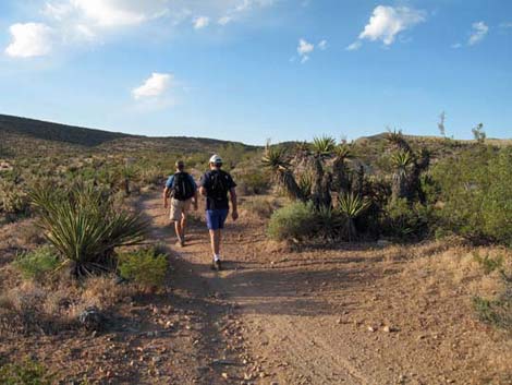 Blue Diamond Hill Trails