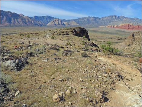 Rock Garden Trail