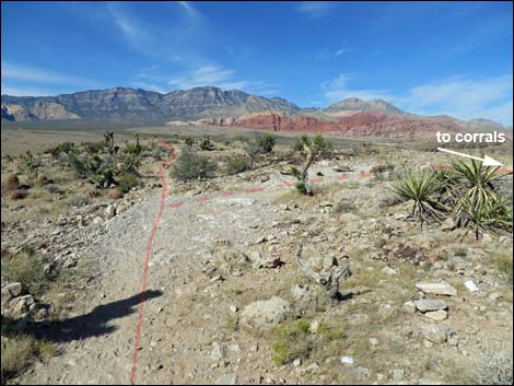 Rock Garden Trail