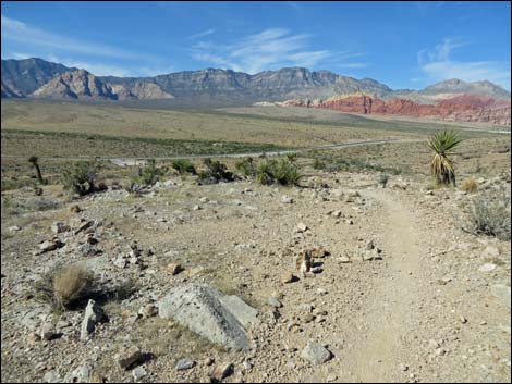 Rock Garden Trail