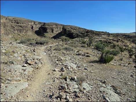 Rock Garden Trail