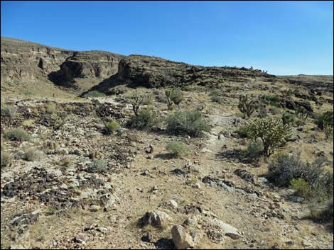 Rock Garden Trail