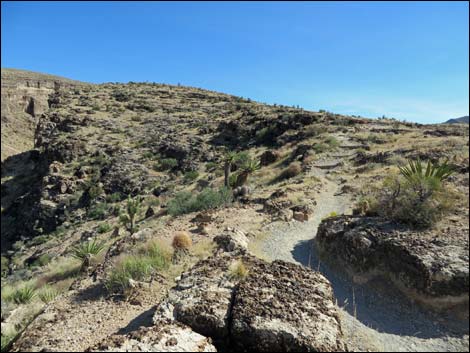 Rock Garden Trail