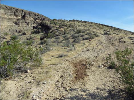 Rock Garden Trail