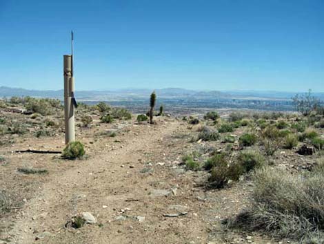 To-The-Top Trail