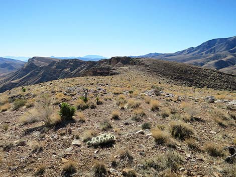 Birdspring Peak