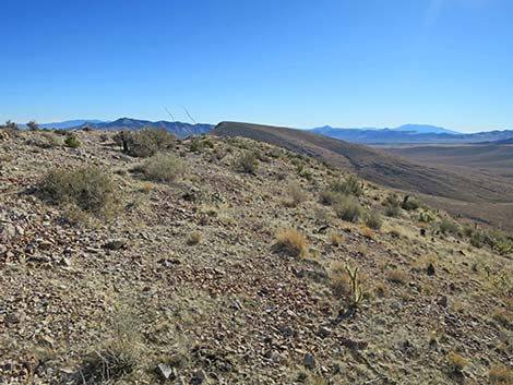 Birdspring Peak