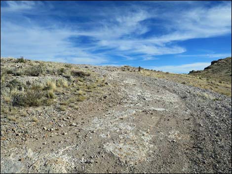 Birdspring Peak