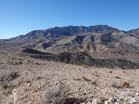 Birdspring Peak