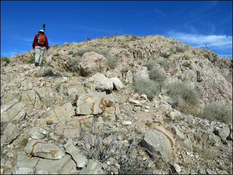 Birdspring Peak