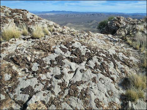 Birdspring Peak