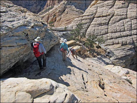 Bridge Mountain