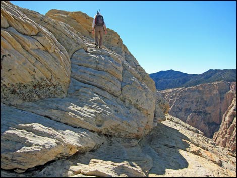 Bridge Mountain