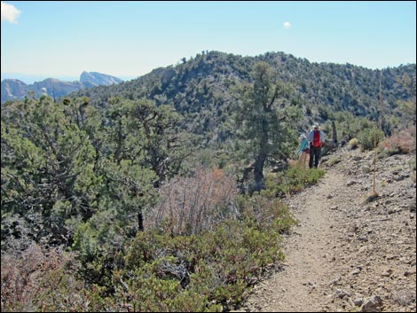 Bridge Mountain Trail